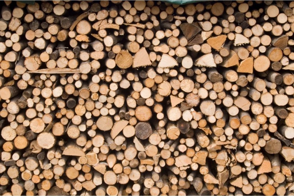 Firewood logs - Shore Tree Service Pembroke MA