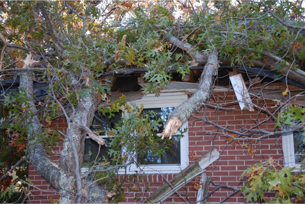 House damaged by branches - Shore Tree Services Avon MA