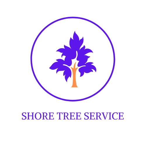 Shore Tree Service Quincy and South Shore MA Logo
