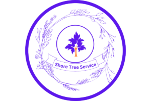 Shore Tree Service - Website Logo