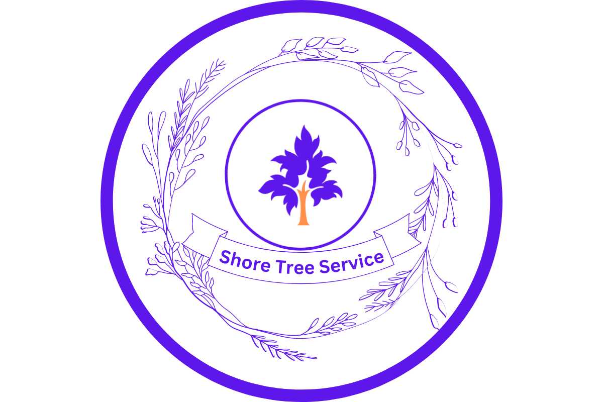 Shore Tree Service - Website Logo