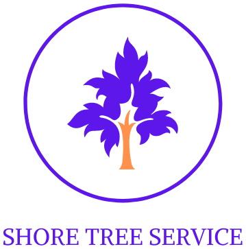 Shore Tree Service