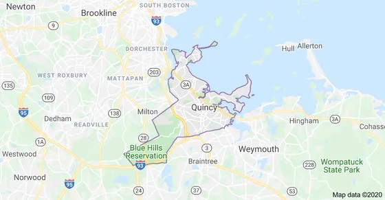 Tree Services Quincy MA