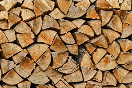 Firewood-Shore-Tree-Service-Hull-MA