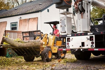 Tree Service South Shore | Fast Service | Affordab