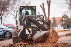 Logical stump grinding prices