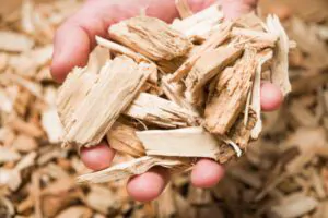 What to do on Wood Chips from Stump Grinding - Shore Tree Service