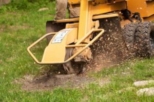 Who Collects Stump Grindings - Shore Tree Service