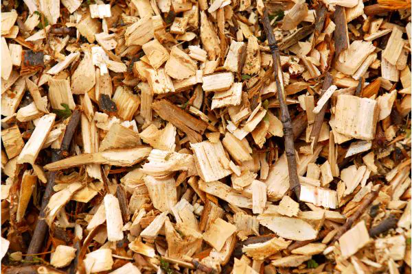 Wood Chips from Stump Grinding - Shore Tree Service