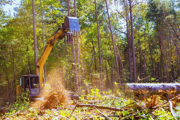 Land Clearing Cost in the South Shore - Shore Tree Service